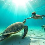 tortues akumal